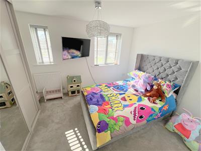 Picture 8